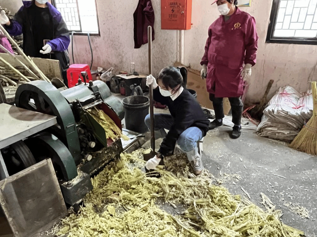 公益助農新體驗，鄉村振興正當時 惲代英菁英學校赴新洲紅糖小鎮開展勞動實踐教育