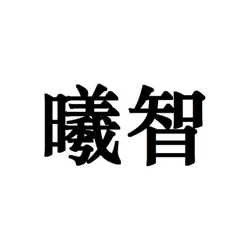 謝春梅與公司 以信息技術(shù)咨詢?yōu)楹诵?，引領(lǐng)創(chuàng)新服務(wù)未來